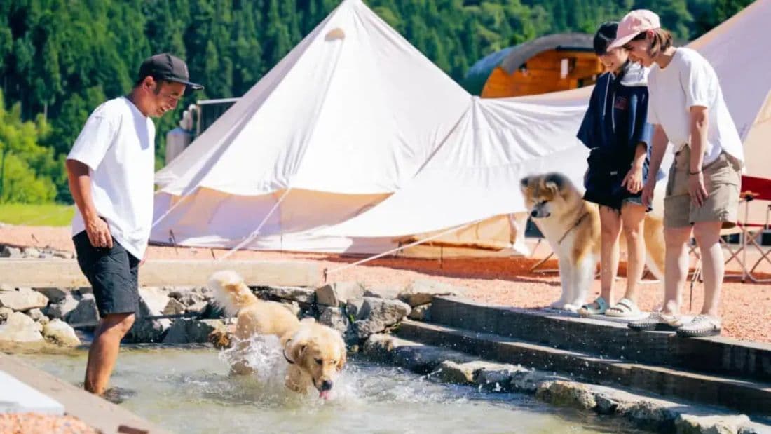 ドッグフリーキャンプ場