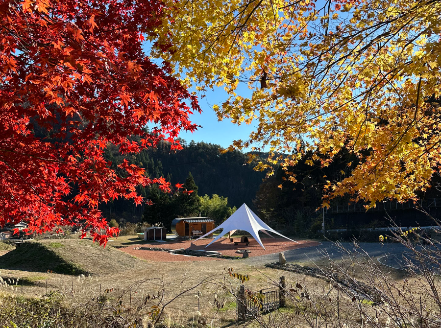 犬連れキャンプ